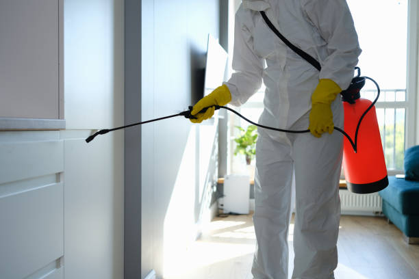 Best Mold Remediation for Healthcare Facilities  in USA